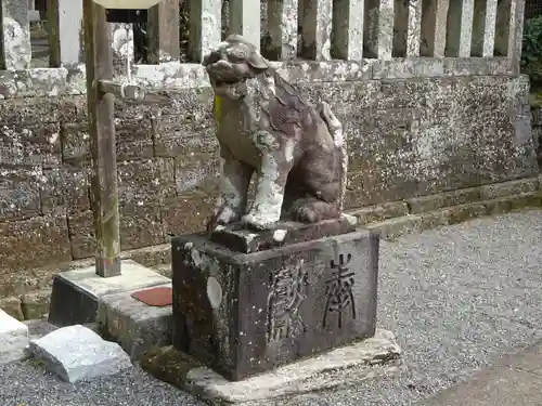 伊古奈比咩命神社の狛犬