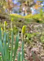 蚊里田八幡宮(長野県)