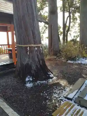熊野那智神社(宮城県)