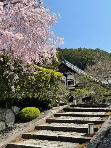 圓光寺のその他建物