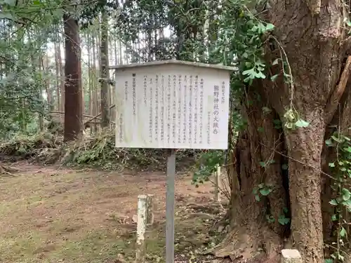 熊野神社の歴史