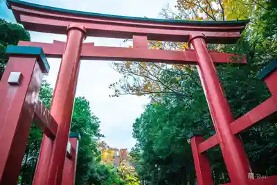 一之宮貫前神社(群馬県)