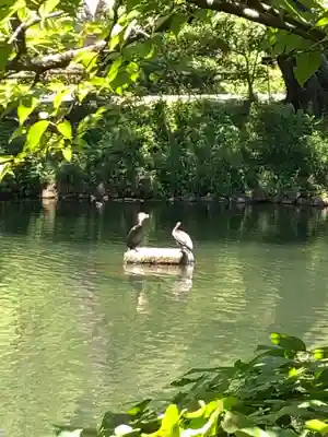 大盛寺(東京都)