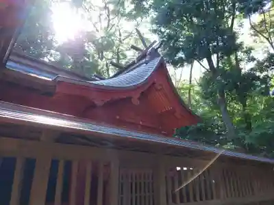 氷川女體神社の本殿・本堂