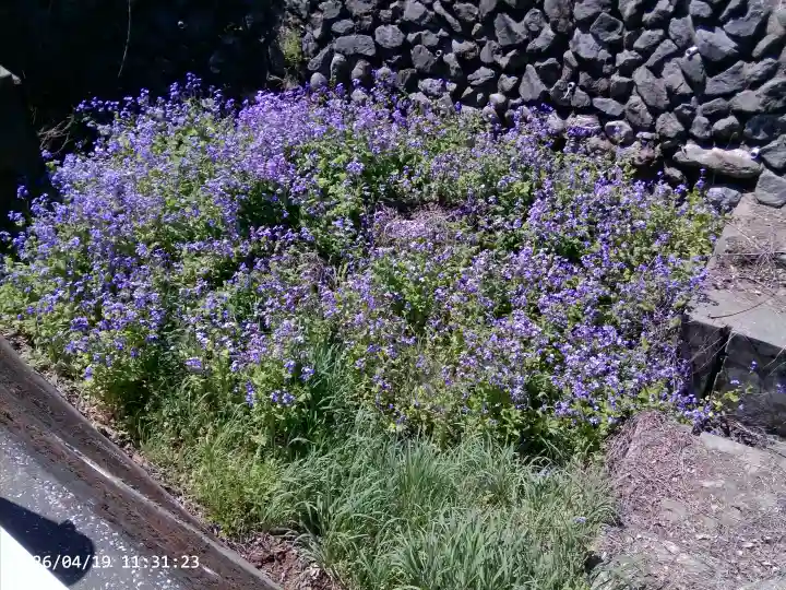 聖神社の{uncategorized: "未分類", other: "その他", undefined: "問題あり", building: "その他建物", grave: "お墓", sacred_gate: "鳥居", guardian: "狛犬", statue: "像", buddha: "仏像", history: "歴史", nature: "自然", garden: "庭園", animal: "動物", pagoda: "塔", temizu: "手水舎", mountain_gate: "山門・神門", sanctuary: "本殿・本堂", subordinate: "末社・摂社", art: "芸術", scenery: "景色", jizo: "地蔵", ema: "絵馬", goshuin: "御朱印", omikuji: "おみくじ", items: "授与品その他", amulet: "お守り", goshuincho: "御朱印帳", eats: "食事", festival: "お祭り", votive_dance: "神楽", shichigosan: "七五三参", wedding: "結婚式", experience: "体験その他", initially: "初詣", around: "周辺", anti_infection: "感染症対策"}