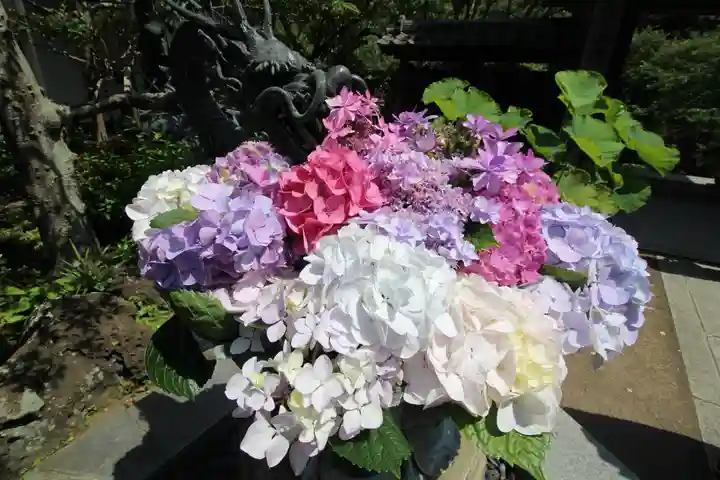 成就院の手水舎