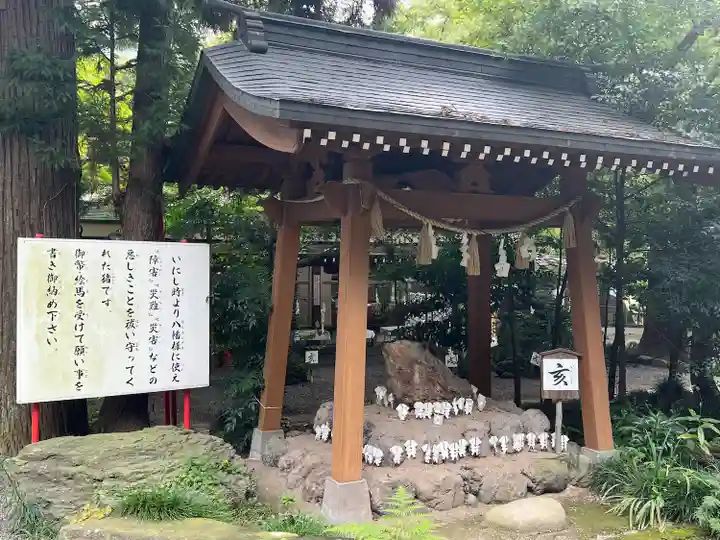 渋川八幡宮(群馬県)