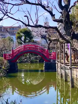 亀戸天神社(東京都)