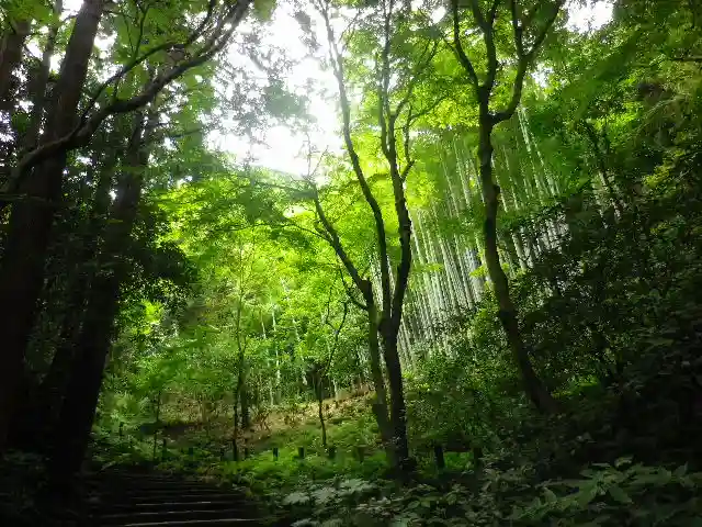 瑞泉寺のその他建物
