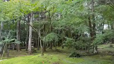 竹林寺(高知県)