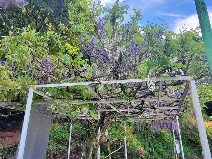 水使神社(栃木県)