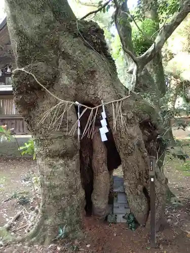 倭文神社の建物その他