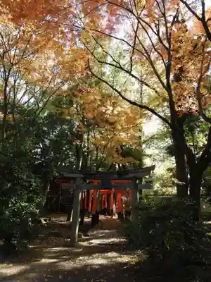 御霊神社(上御霊神社)の鳥居