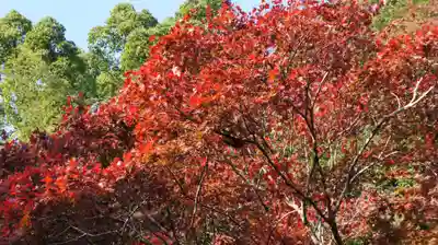 小松寺(千葉県)