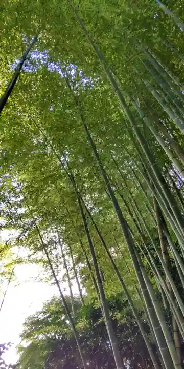 浄妙寺(神奈川県)