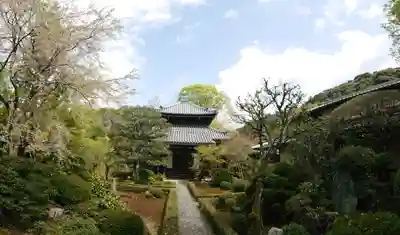 安楽寺(京都府)