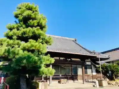 光明山 安徳寺の本殿・本堂