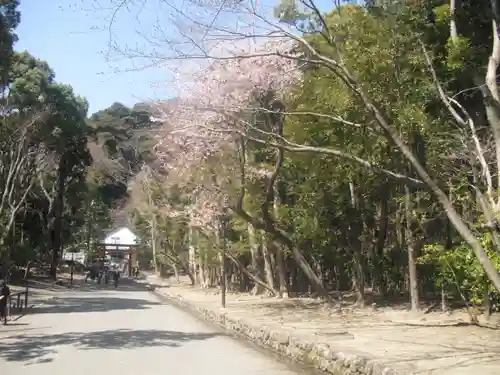 鶴岡八幡宮の自然