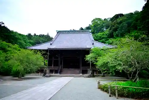 妙本寺(神奈川県)