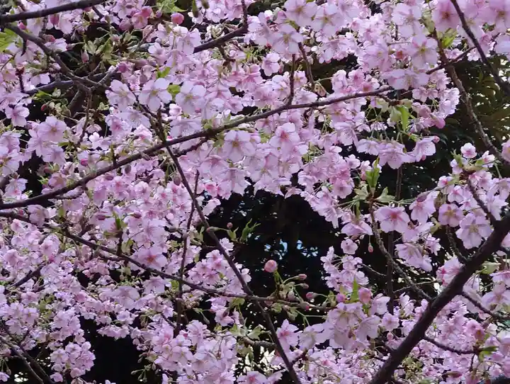 烏森稲荷神社(東京都)