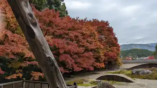 実相院門跡の景色