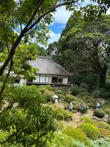 長楽寺(静岡県)