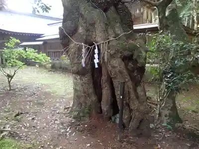 倭文神社のその他建物