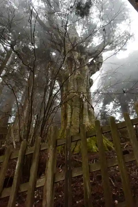 玉置神社(奈良県)