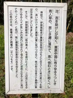 揖夜神社(島根県)