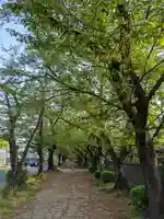 伊多波刀神社(愛知県)