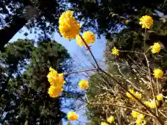 焼森山雷神神社の自然