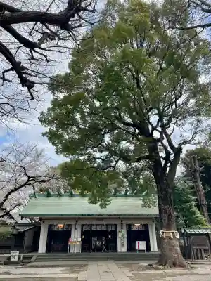 駒込天祖神社(東京都)