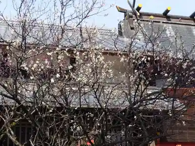 佐太神社(佐太天神宮)の自然