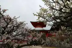 中山寺の塔