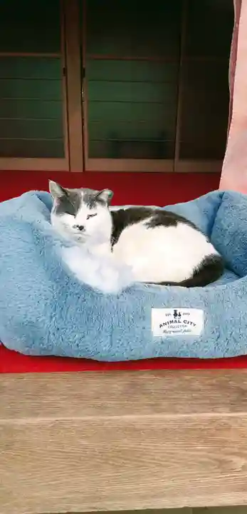 大宮・大原神社(千葉県)