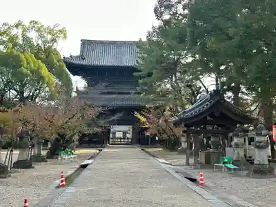 大樹寺（松安院大樹寺）(愛知県)