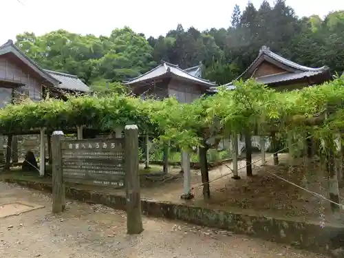 藤井寺の庭園