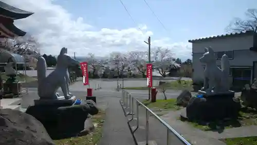 白狐山光星寺の狛犬