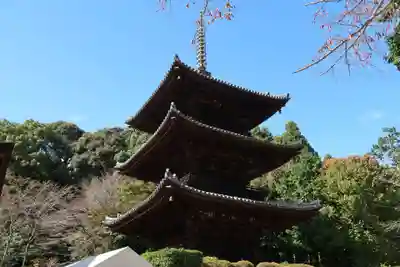園城寺（三井寺）のその他建物