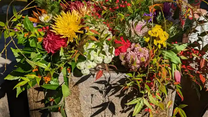 勝林寺(京都府)