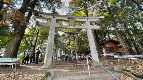 宝登山神社奥宮の鳥居