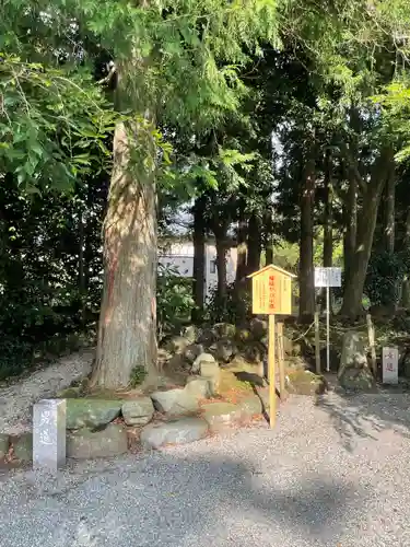 新橋浅間神社の自然
