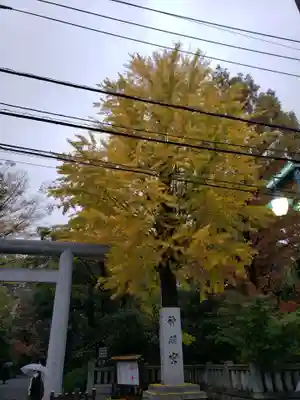 阿佐ヶ谷神明宮のその他建物