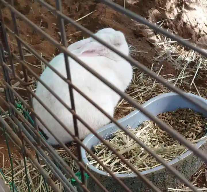 太子堂八幡神社(東京都)
