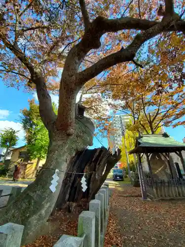 阿邪訶根神社の自然