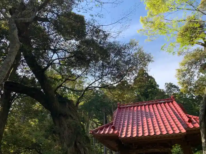 山神社の自然