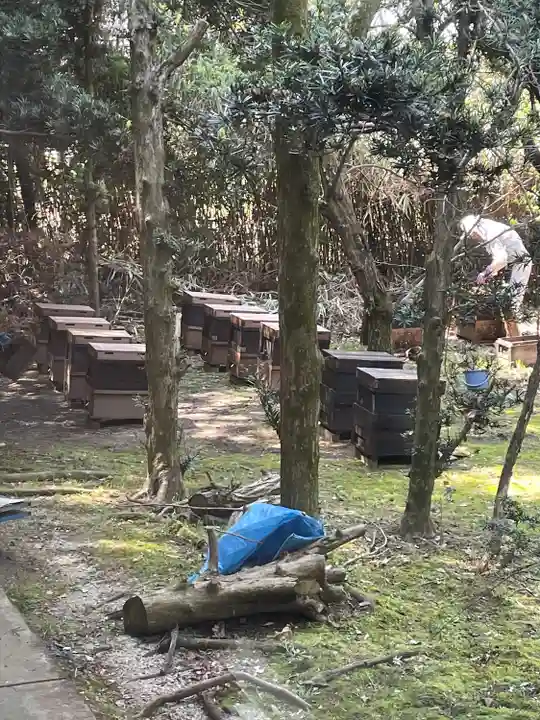 廣瀬大社(奈良県)