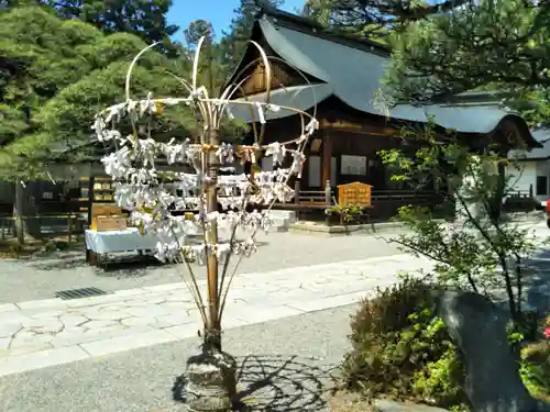 甲斐國一宮 浅間神社のおみくじ