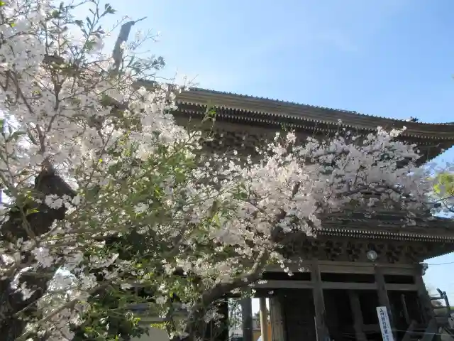 光明寺の山門・神門