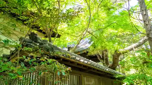 八剱社の本殿・本堂